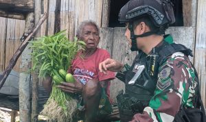 Sayur Hasil Panen Dari Kebun Satgas Yonif 623 di Bagikan ke Warga Sekitar Pos Konja