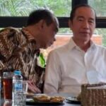 budi arie jokowi