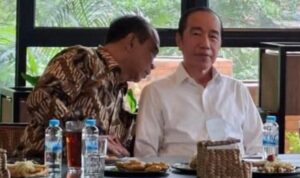 budi arie jokowi