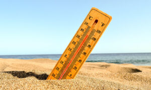 BMKG Catat 20 Wilayah Terpanas di Indonesia, Suhu Tertinggi Tembus 35,8 Derajat Celsius () ()