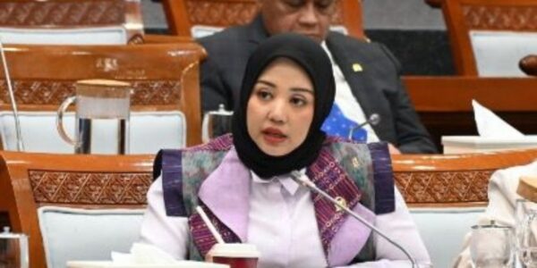 Anggota Komisi VIII DPR RI Dini Rahmania (Foto Dokumen F Nasdem)