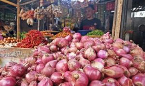 Ambisius! Ditengah Harga Bawang Merah Terbang Tinggi, Begini Target Kementan
