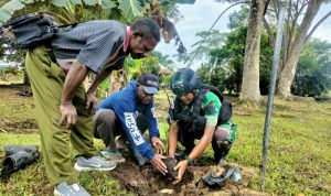 Hijaukan Halaman Gereja, Satgas Yonif Raider 141/KJ Tanam Bibit Pinang Di Kab Yalimo