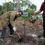 Komitmen ESG: PHM Pulihkan Ekosistem DAS Kalimantan Timur Sesuai Mandat PPKH PHM