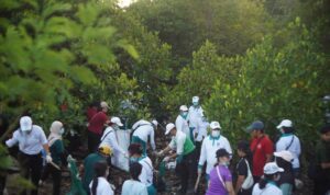 Bukan Sekadar Bersih-Bersih! Gerakan Kulkul PKK Soroti Sampah yang Bermuara ke Laut IMG WA