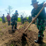 KODIMGELARPRAKTEKLAPANGANMETODEPERTANIANPURBA