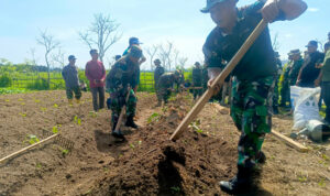 KODIMGELARPRAKTEKLAPANGANMETODEPERTANIANPURBA