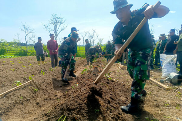 KODIMGELARPRAKTEKLAPANGANMETODEPERTANIANPURBA