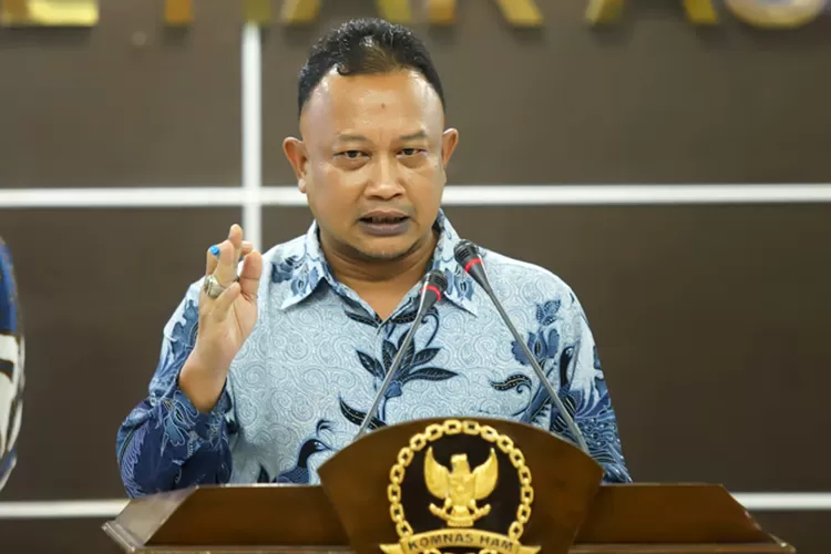 Komisioner Penyelidikan atau Pemantauan Komnas HAM Mohammad Choirul Anam Dery Ridwansah