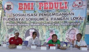 BMI Peduli Sosialisasi Budidaya Dan Pengembangan Sorgum Di Ringdikit