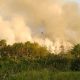 Kebakaran Sampah TPA Sumompo Kota Manado Sangat Meresahkan Warga!