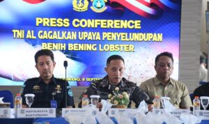 TNI AL Gagalkan Penyelundupan 85 Ribu Benih Lobster di Perairan Banyuwangi