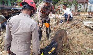 anjing pelacak jenis K9