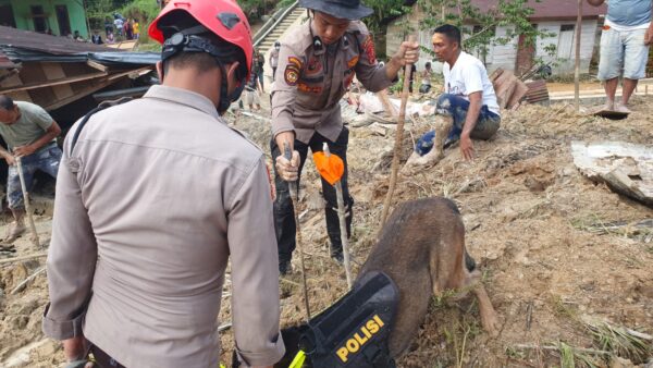 anjing pelacak jenis K9