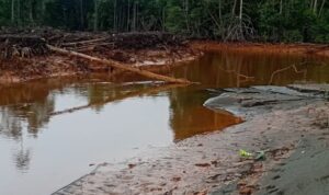 Sungai Kukuba Tercemar Lumpur, LATAMLA Desak Audit Total AMDAL PT Feni Haltim! WhatsApp Image at