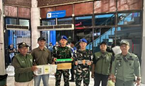 Penyelundupan Burung Langka di KM Gunung Dempo Digagalkan TNI AL WhatsApp Image at