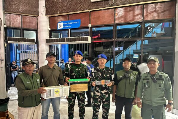 WhatsApp Image at