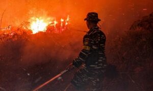 TNI AL Gerak Cepat! Karhutla 4 Hektare di Tanjung Jabung Timur Berhasil Dikendalikan WhatsApp Image at