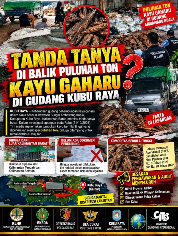 WhatsApp Image at