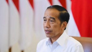 Gak Pernah Jual, Tiba-tiba Tanahnya Sudah Dimiliki Orang Lain, Perintah Tegas Jokowi Sikat Habis Mafia Tanah