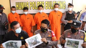 Polsek Sukasada Berhasil Ungkap Tindak Pidana Proses Kayu Hasil Hutan Ilegal