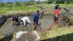 Satgas Kodim Yalimo Yonif RK 751/VJS Kreatif Sulap Lahan Kosong Menjadi Kolam Ikan