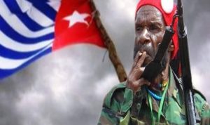 Diduga Suplai Logistik ke KKB di Kiwirok Papua, TNI Selidiki Pesawat Komersial Mendarat di Kampung Kukihil