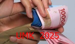 UMK 2025: Kota Bekasi Raih Posisi Tertinggi di Indonesia!