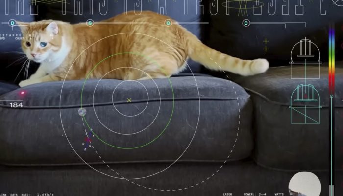 Geger! NASA Memamerkan Keunikan Dengan Membagikan Video Kucing Antariksa Dalam Resolusi Tinggi!
