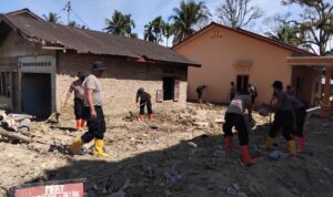 bedfc d d ba