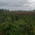 Terkait Sengketa Konsesi Hutan Lindung Dan Tanah Adat di Desa Tukkotnisolu KPK Diminta Bongkar “Dosa” Pihak Kehutanan Lagi