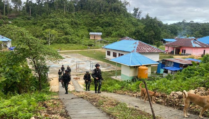 Tingkatkan Stabilitas Keamanan, Satgas Yonif 623 Patroli di Wilayah Papua