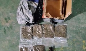 Pengiriman Ganja Lewat Kargo Digagalkan, Satgas Temukan 82 Gram di Bandara Sentani bebad e ccffade