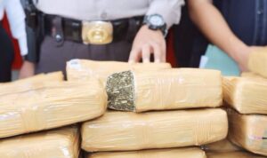 Bareskrim Gagalkan Penyelundupan 10 Kg Ganja Jalur Ekspedisi Padang-Sidoarjo, Satu Penerima Diciduk caamfcrdtabrkvavyf