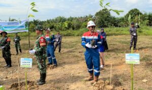 Sambut Hari Bumi 2026, Pertamina EP Sangatta Field Tanam Ratusan Pohon Penyerap Karbon cdcbc ef a af bccaebc