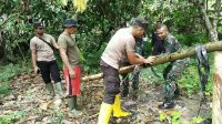 Bantu Masyarakat Di Perbatasan Papua, Satgas Yonif 126/KC Perbaiki Pipa Air