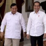 Prediksi transisi pemerintahan dari Jokowi ke Prabowo dan dampaknya terhadap stabilitas politik dan pembangunan nasional di Indonesia.