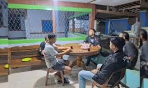 Modus Baru! Peternakan Babi Dijadikan Investasi Fiktif, Kerugian Capai Rp 400 Juta images ()