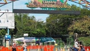 jaksel