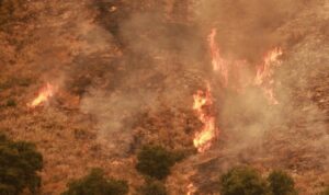 Gelombang Panas Hantam AS, Suhu Ekstrem Hingga Kebakaran Hutan!