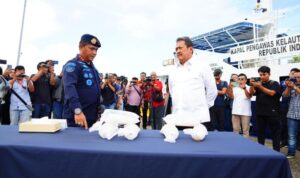 Operasi KKP: 49 Box Benih Lobster Disita dalam Usaha Penyelundupan ke Luar Negeri
