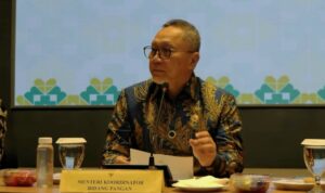 menteri koordinator bidang pangan zulkifli hasan