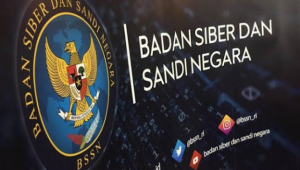 Retas Situs BSSN Indonesia, Hacker Brazil: Betapa Mudah untuk Menghancurkan Negaramu