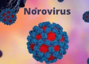 Waspada..! 1.600 Lebih Warga Inggris Terinfeksi Norovirus, Kenali Gejalanya!