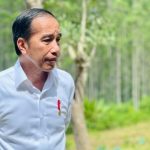 Jokowi Ingin 16 Ribu ASN Pindah Duluan Biar IKN Nggak Terlalu Sepi