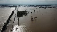 Sebanyak 15 Kejadian Banjir Sepekan Pertama Oktober, BNPB Dorong BPBD Tingkatkan Kesiapsiagaan Minimalkan Dampak Bencana