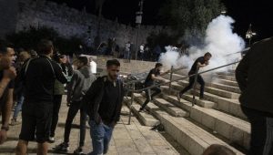 palestina